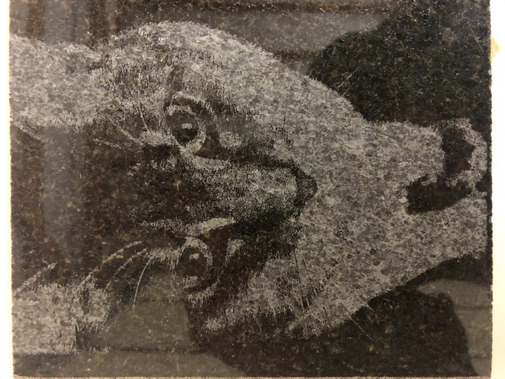 Stone engraving of a lion's face in relief.