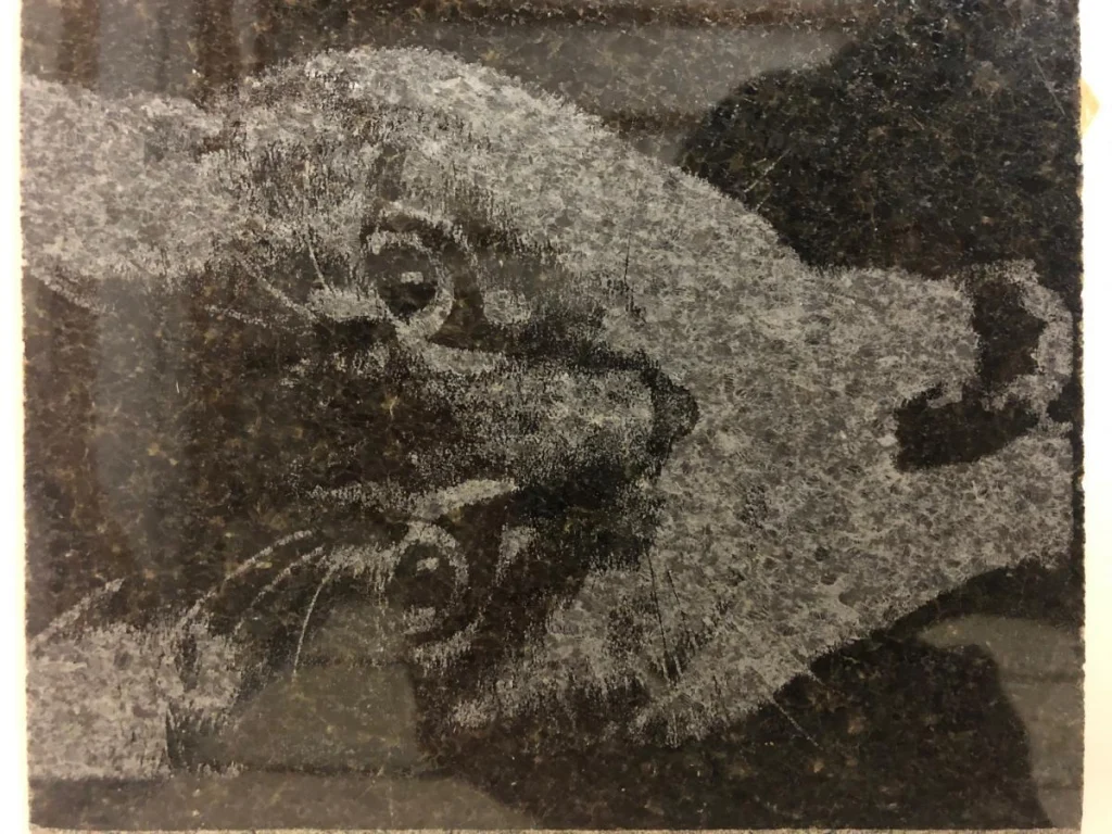 Stone engraving of a lion's face in relief.